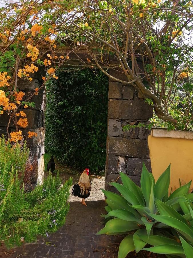 Casa Da Japoneira Hotell Horta  Exteriör bild